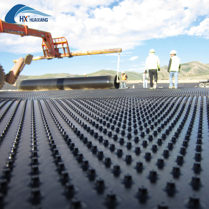 Factory Price High Grade HDPE Dimple Drainage Board in Roof Garden, Lawn