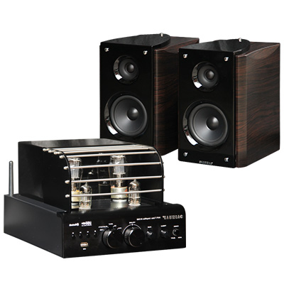 Electronic Tube Amplifier Speaker Set Combination HiFi Amplifier Home Audio Stereo