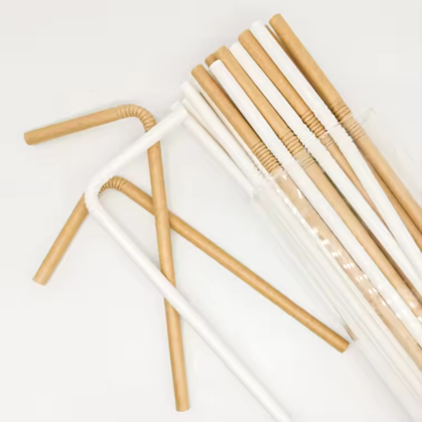 Eco-Friendly Colorful Sugarcane Straws for Juices and Bubble Tea