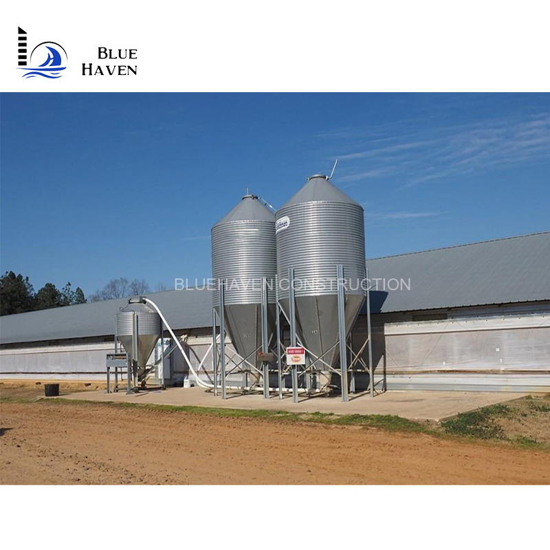 Prefabricated Steel Structures Poultry Farm House Shed/Steel Structural Chicken Shed