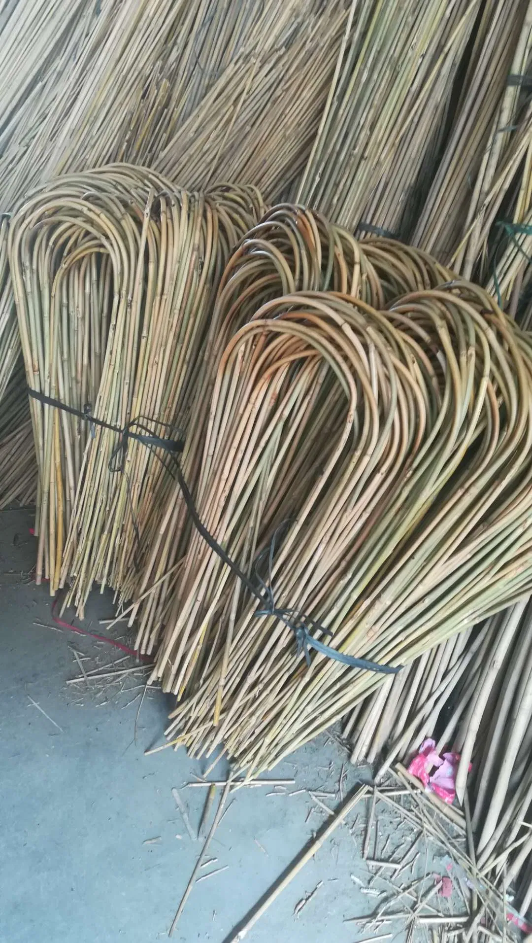 U Shaped Bamboo Canes for Plants Support