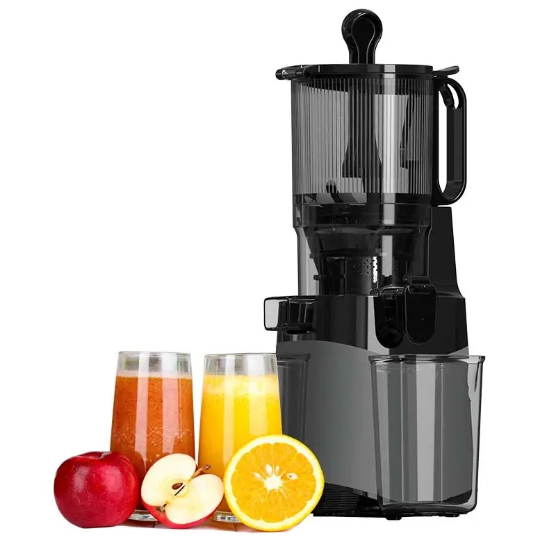 Hot Popular 100% Full Test Multifunctional Parts Slow Juicer Supplier in China