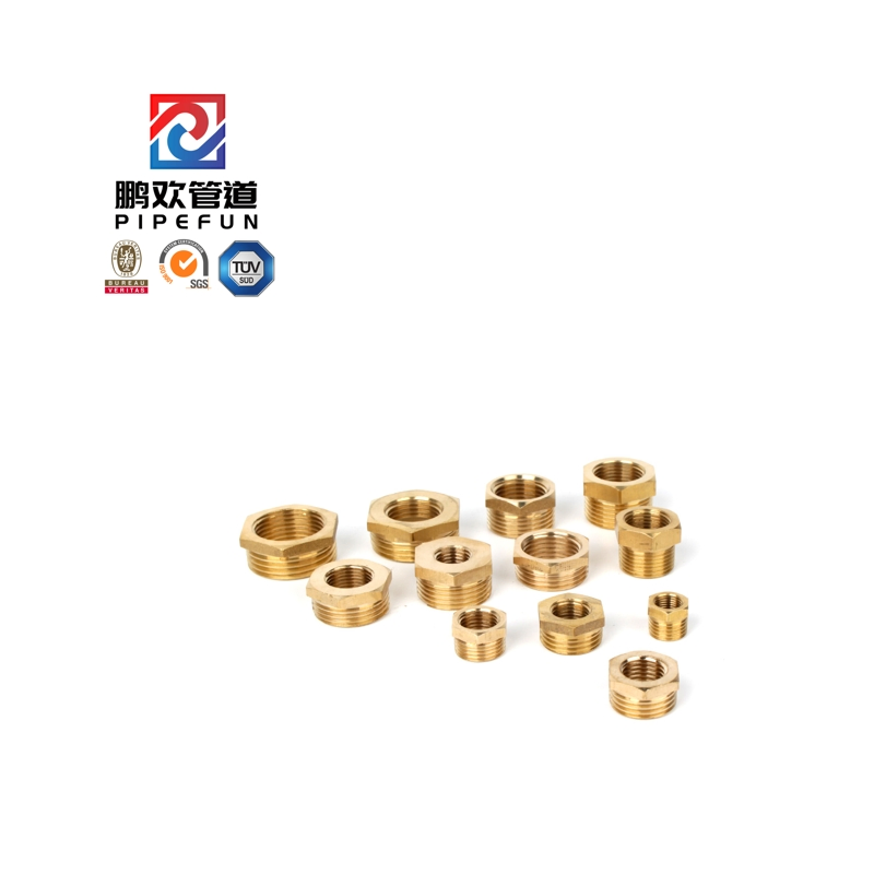 High Pressure Brass Steel Forged Thread Hex Head Bushing