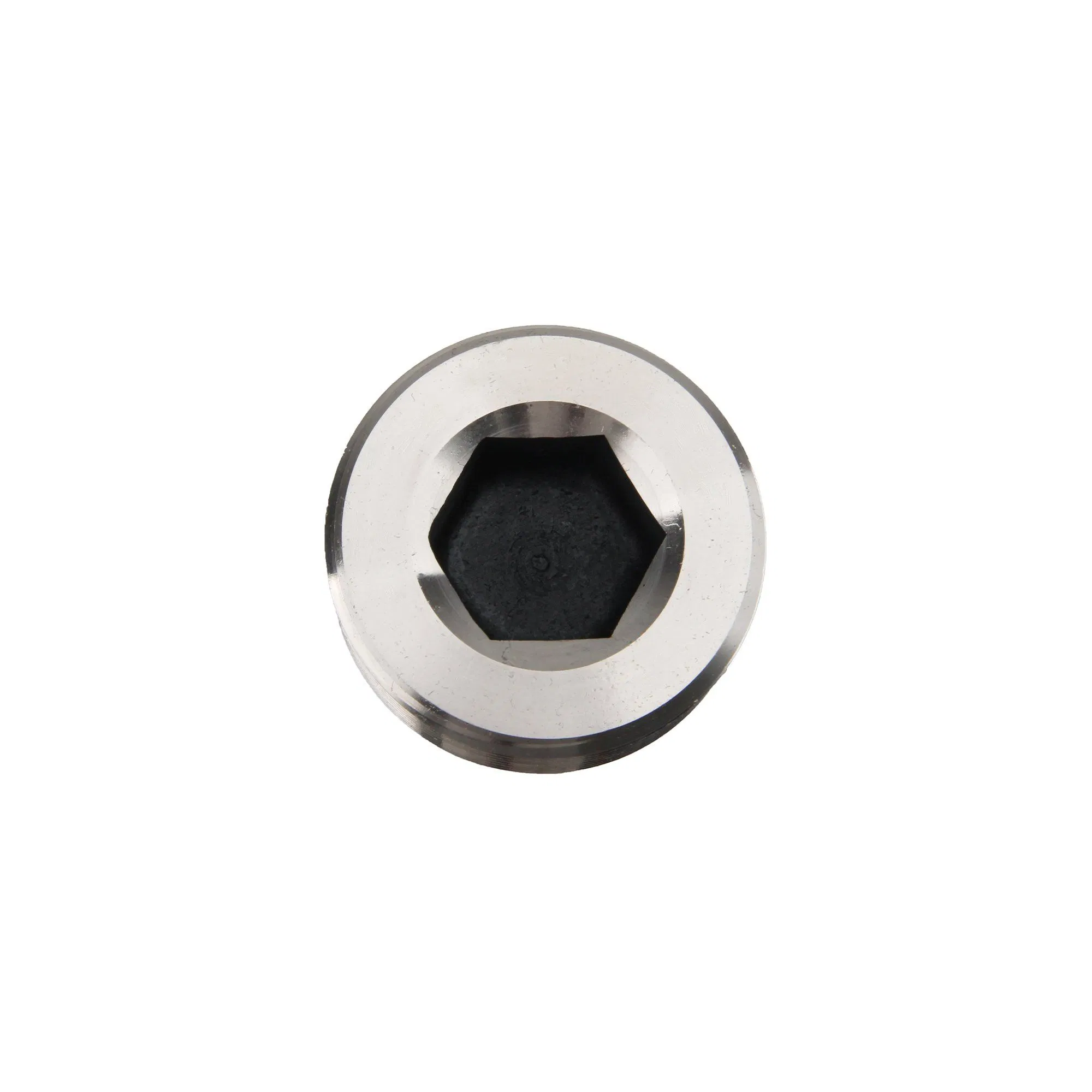 Durable Stainless Steel 316 Plug for Electric and Gas Water Heaters