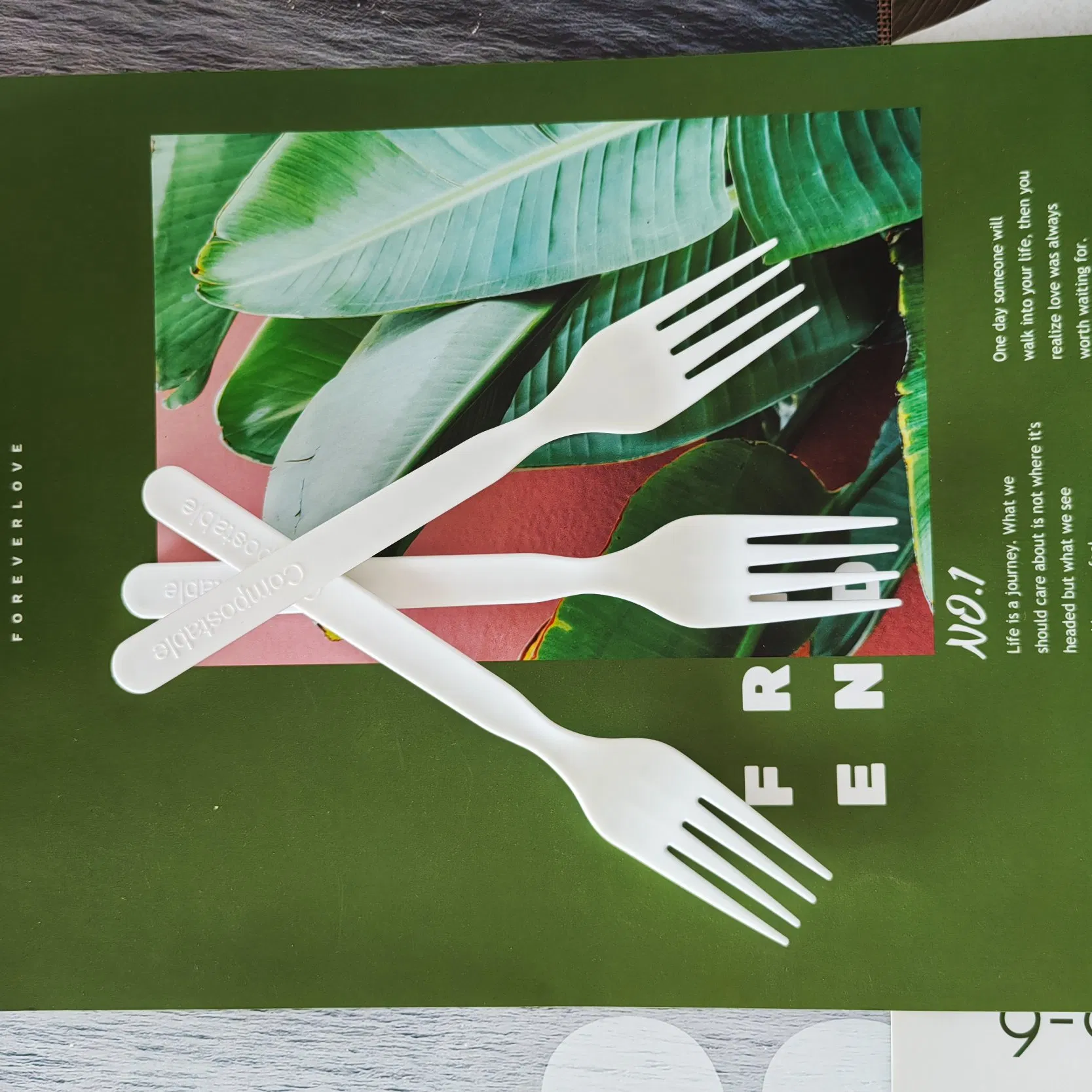 New Design Eco Friendly Compostable Biodegradable Fork Cpla Cutlery Utensils