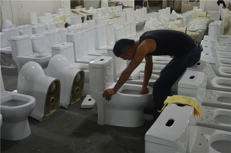 Popular Style Sanitary Ware Bathroom Dual Flush Siphonic One Piece Toilet