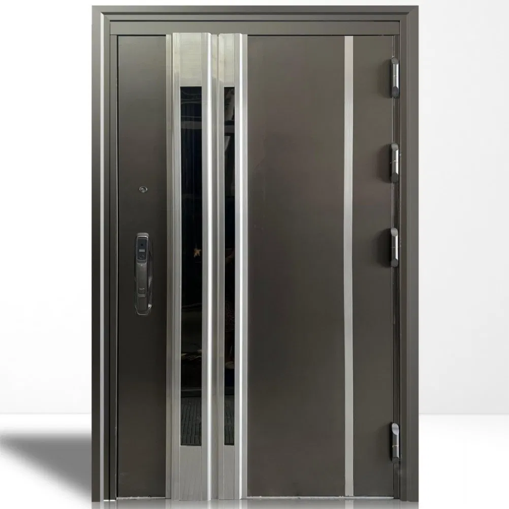 Adaptable Metal Robust Exterior Steel Door for Office Building