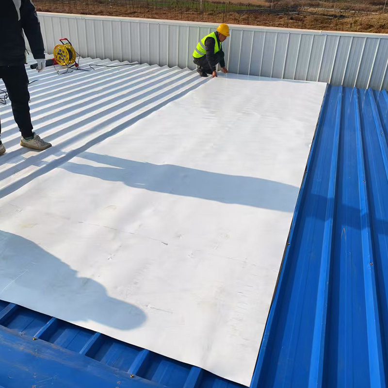 Advanced Waterproof Coating for Durable Road and Bridge Protection