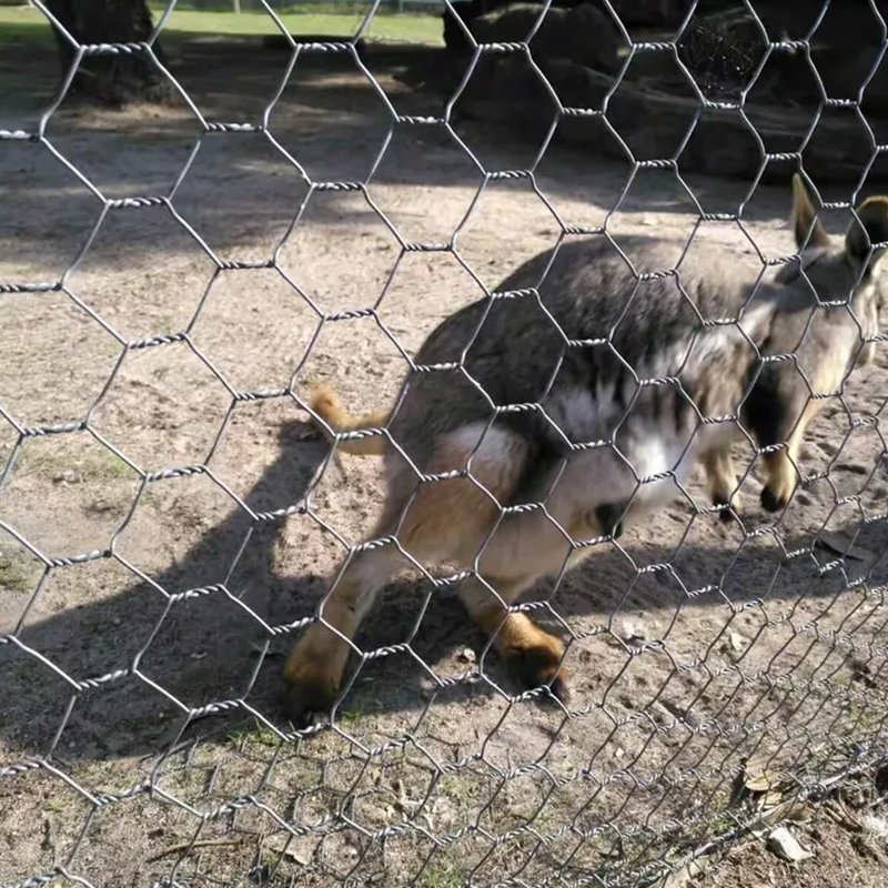 Anti-Escape Animal Livestock Metal Fence for Cattle Sheep Farm Pasture