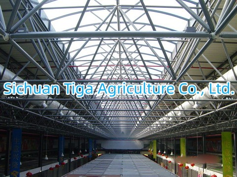 Customized Steel Structure Constructions for Factories, Warehouses, Cold Storages and Green House