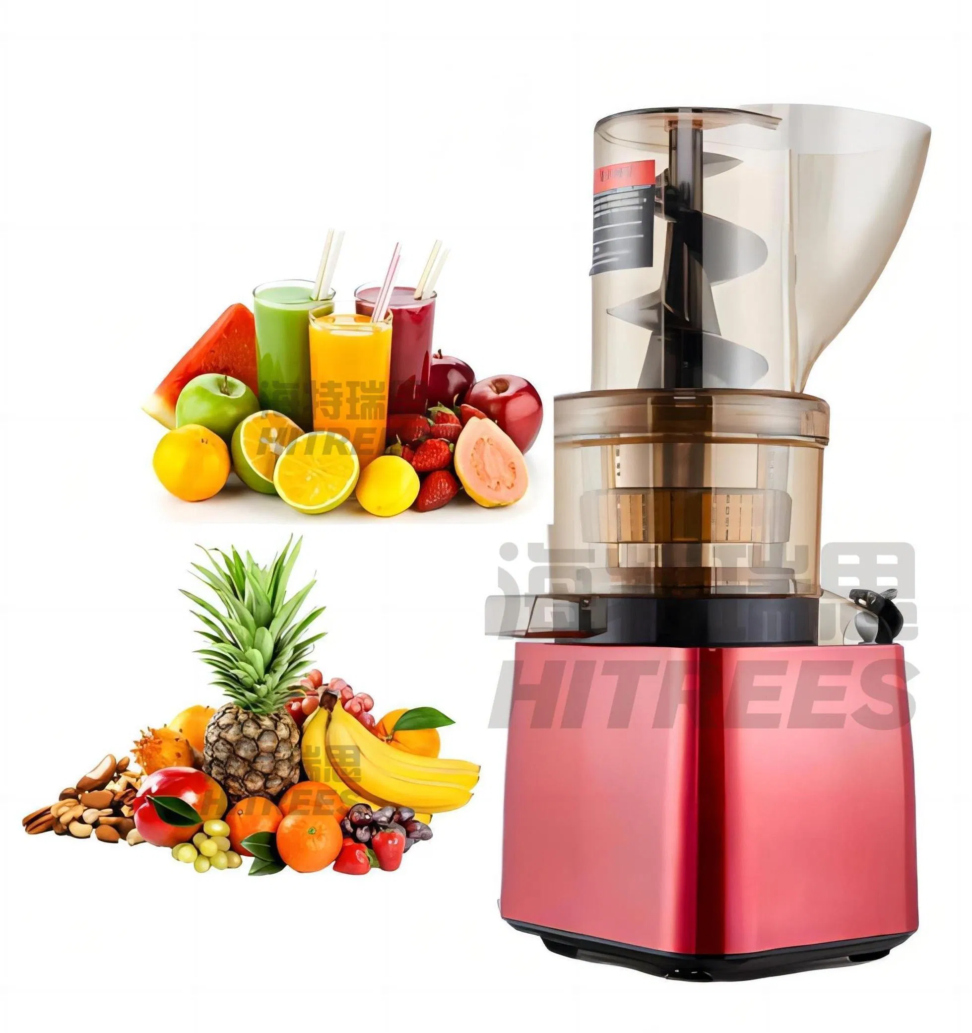 500W Commercial Orange Juicer Extractor Machine Fruit Juicer Ginger Juice Extractor