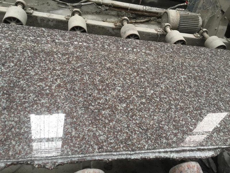 Polished Bainbrook Brown China Cheap G664 Rough Granite Slab Price for Countertop