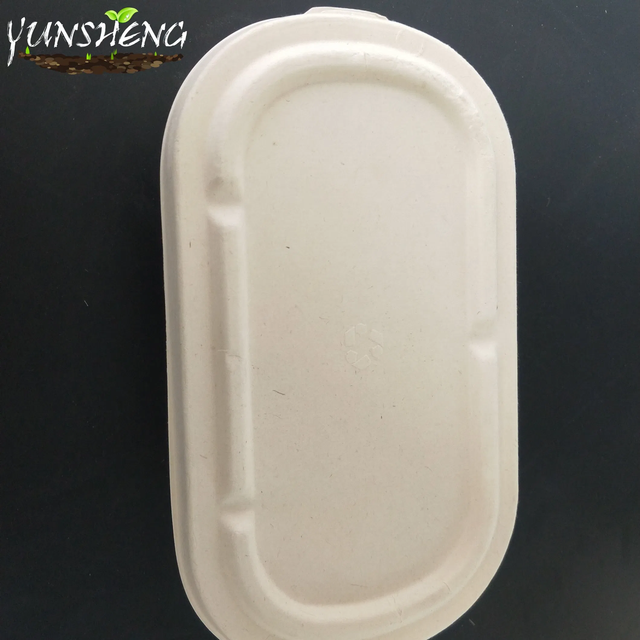 Eco-Friendly Customized Disposable Wheat Straw Paper Box with Lids Which Are Two Compartments