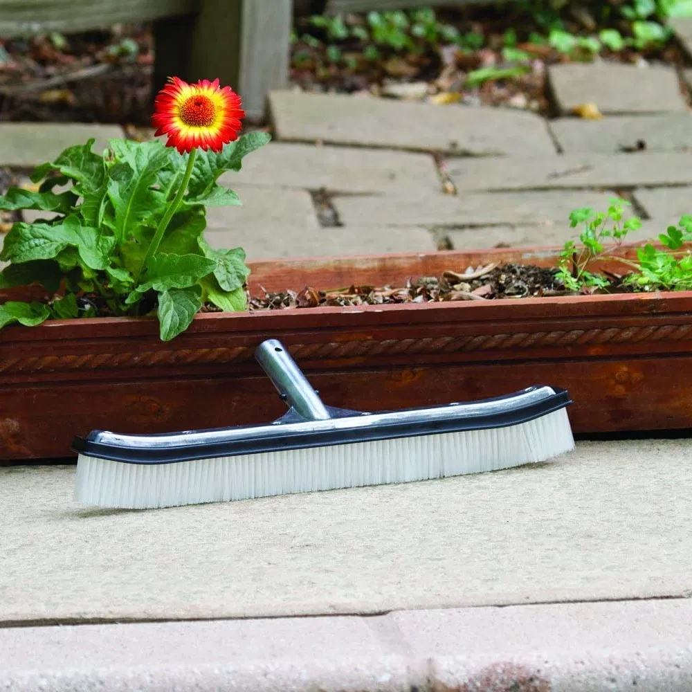 Heavy Duty Aluminum-Back Swimming Pool Wall Brush with Durable Bristles