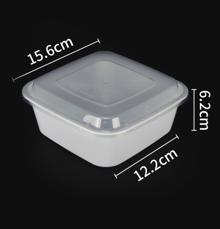 Disposable Food Box 21oz, Plastic Storage Container with Lids, Square Food Meal Prep Box Bento to Go for Gym Office Microwave
