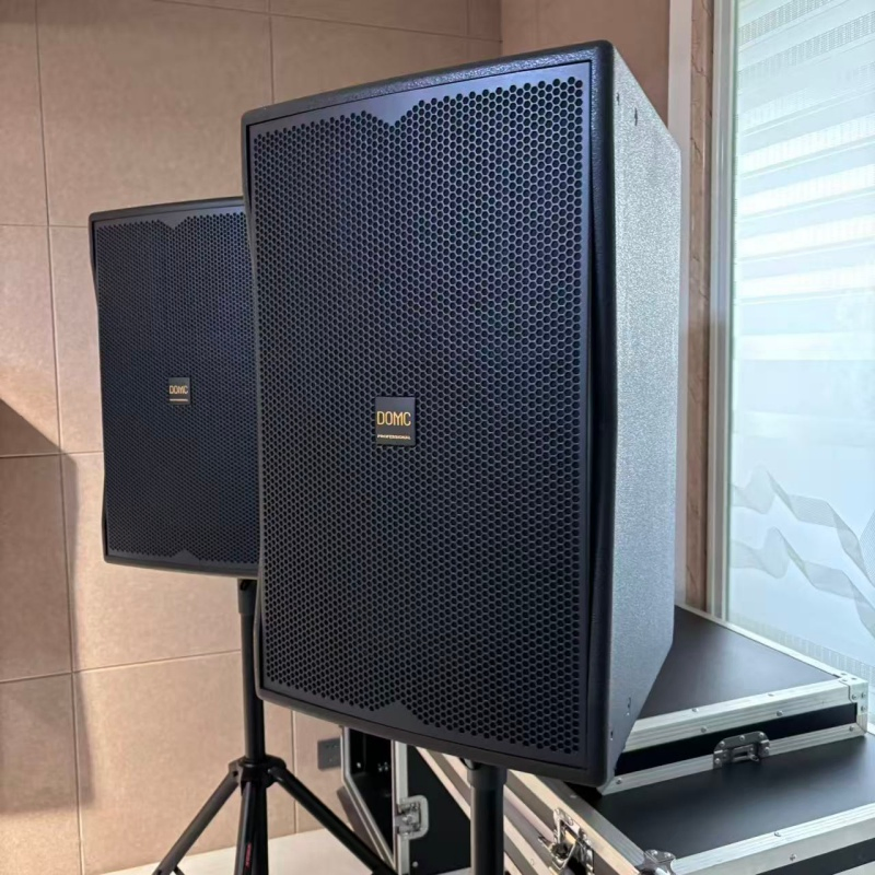 Domc K210 10-Inch Speaker, 50Hz-20kHz, 300W AES Rated