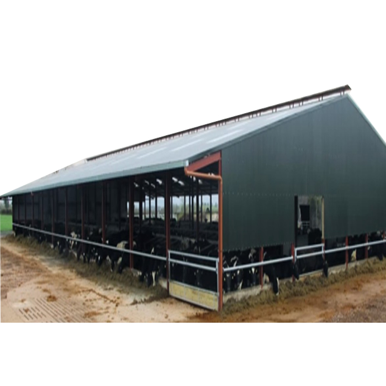 Prefabricated Steel Structure Design Fabricated Construction Cow Shed Farm House