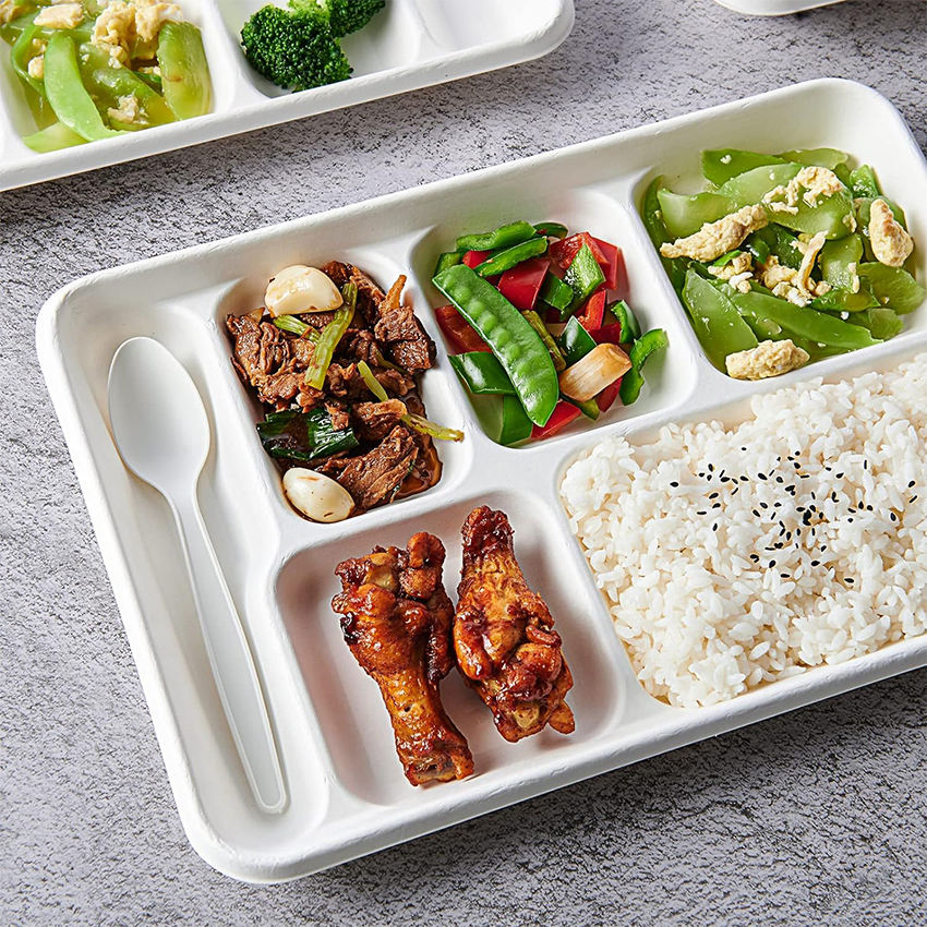 Biodegradable 3-Compartment Bagasse Tray for School Lunches with Cut-Resistant Base