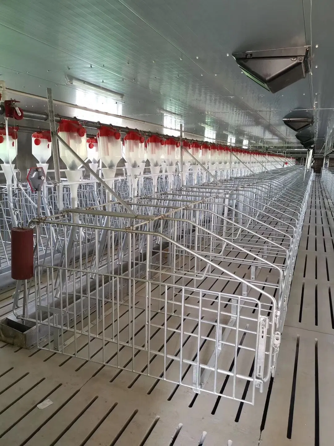 Dairy Cow Farm Construction with Bolt Connecting Light Weight Steel Structure