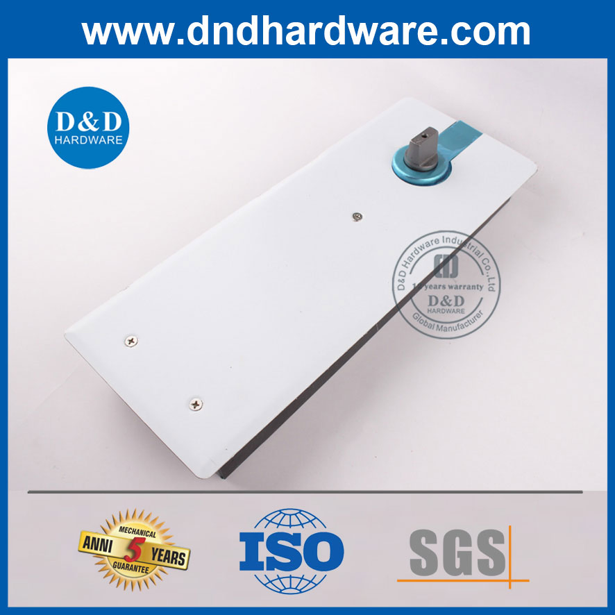 Hot Sell Iron Floor Spring Closer for Glass Door with Stainless Steel Cover