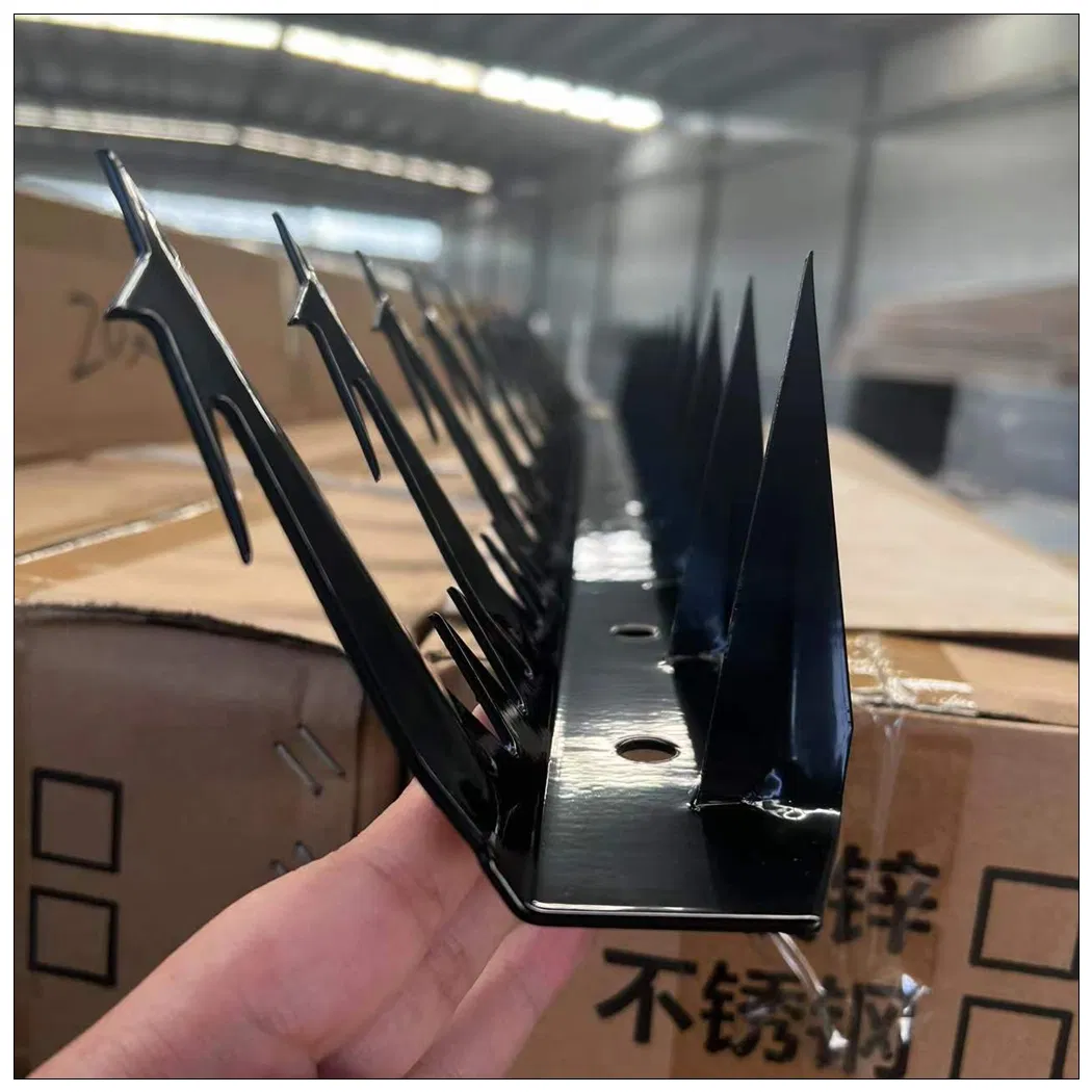 Hot Dipped Galvanized PVC Coating Wall Spikes