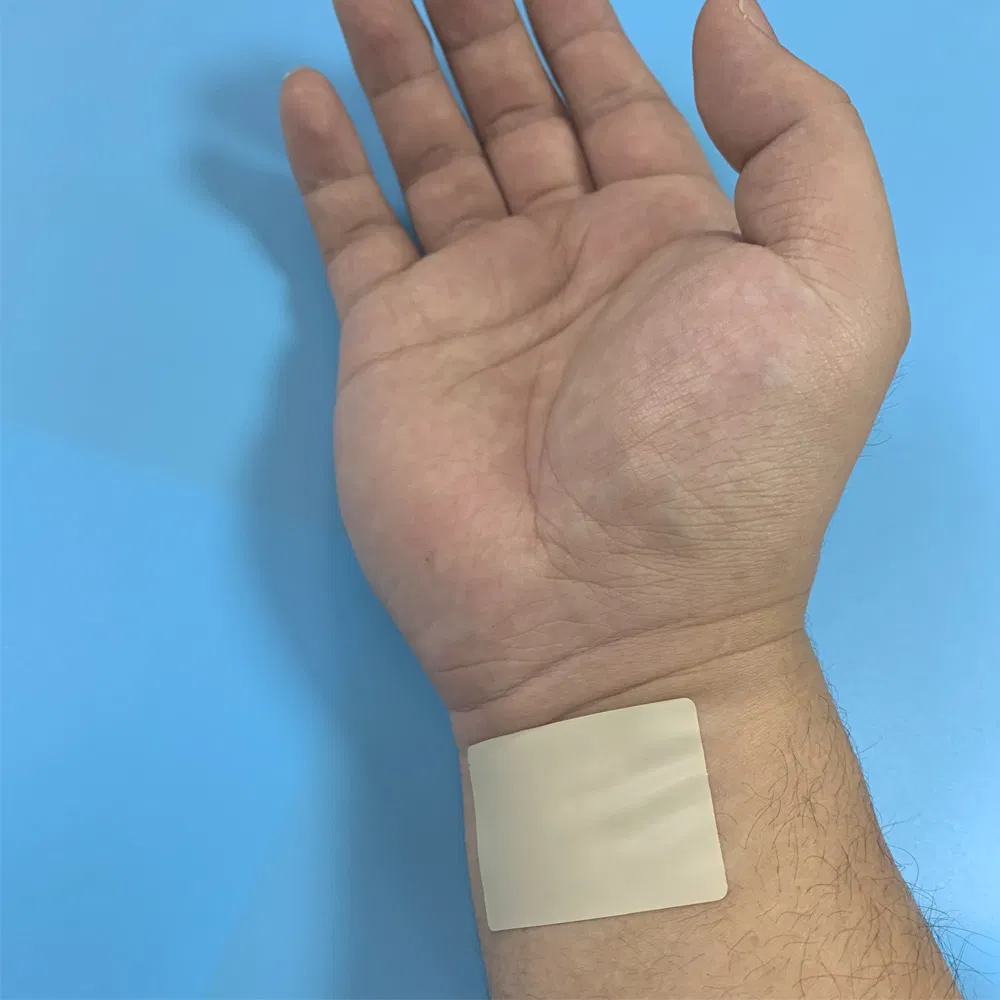 Nicotine Patches Nature and Health Care Smoking Stop Patch Quit Smoking Patches