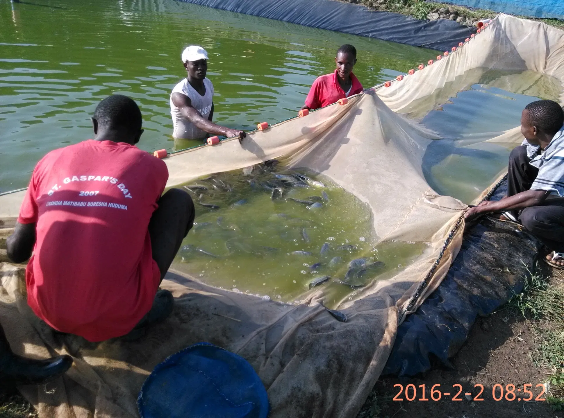 HDPE Geomembrane, Waterproofing Geomembrane for Fish Farm