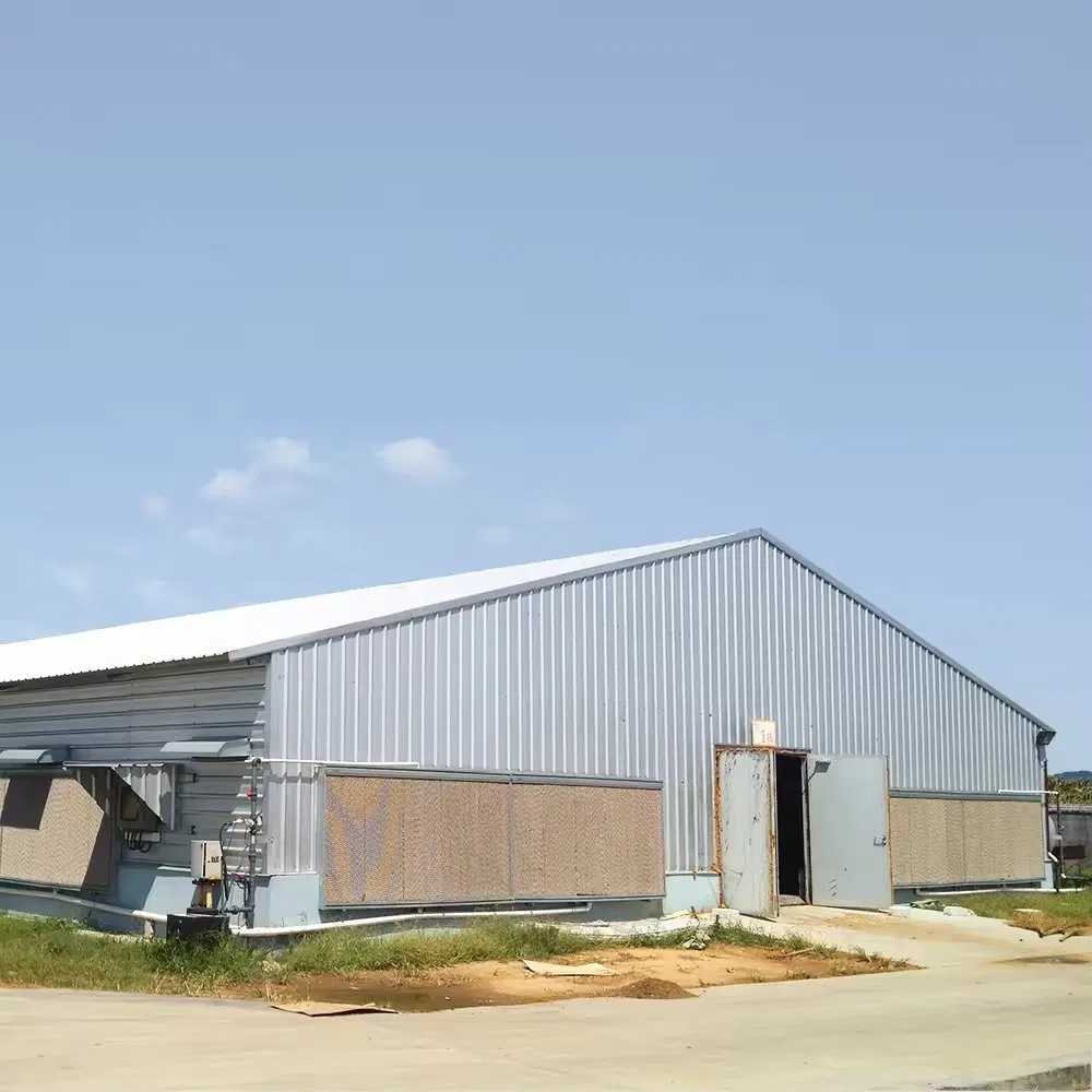 Steel Structure Pig Shed for Customized (PCH-13)