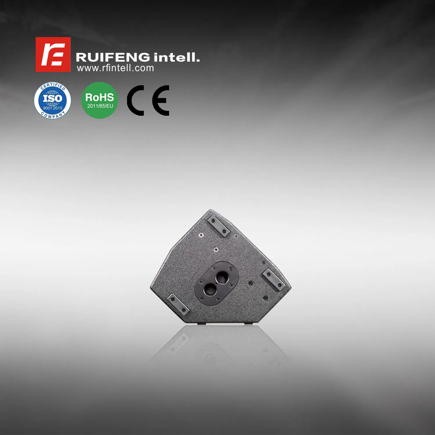 PRO Audio Home Theater Active Amplifier Speaker PA Sound System Powered Speaker