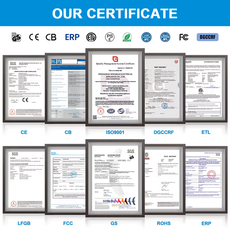 135mm Large Feed Chute 300W Slow Masticating Juicer Machine Easy Clean Whole Fruit Vegetables High Juice Yield Cold Press Juicer