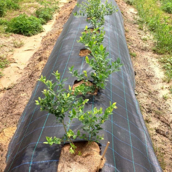 Geotextiles for Erosion Control Geo Fabric for Driveway Weed Mat for Landscaping