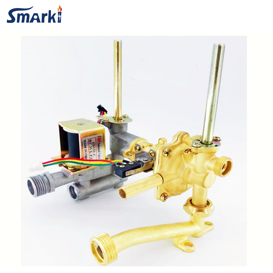 All Kinds of Gas Water Heater Zero or Normal Pressure Valve Parts