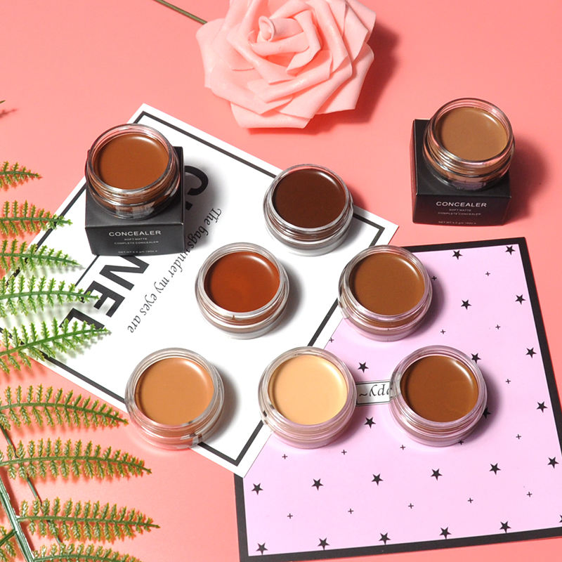 11 Colors Full Coverage Private Label High Quality Professional Makeup Concealer