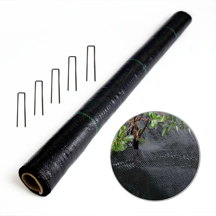 Chinese Manufacturer UV Treated Greenhouse Woven Ground Cover Agriculture