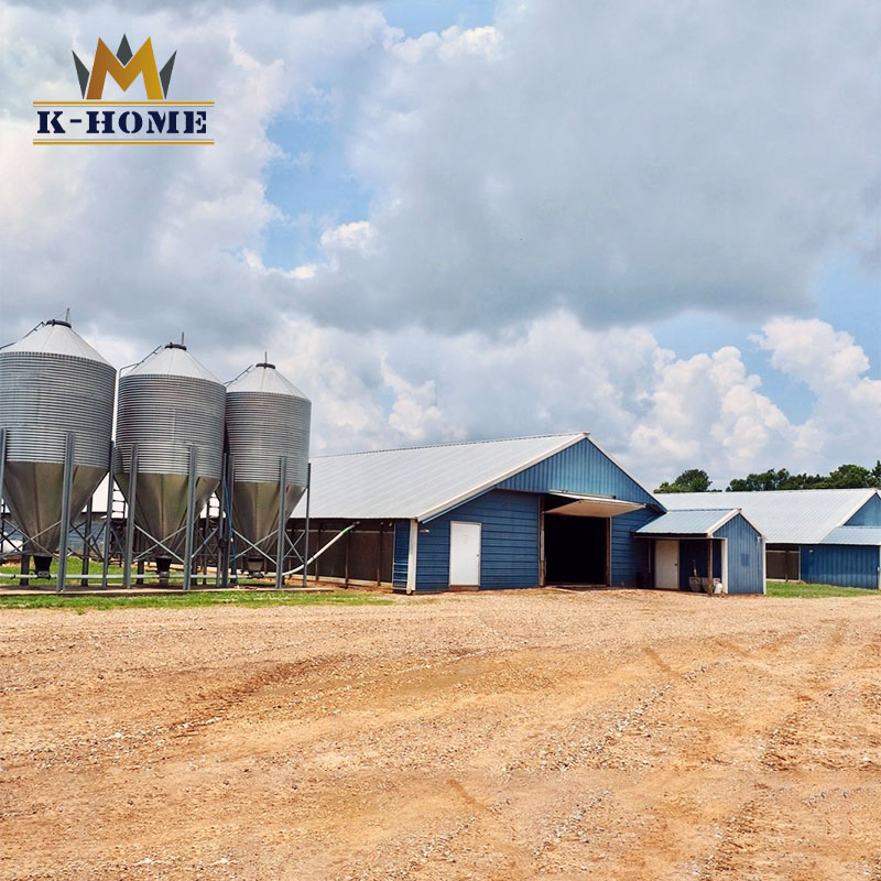 China Cheap Steel Structure Industrial Poultry Broiler Chicken Farm for Sale