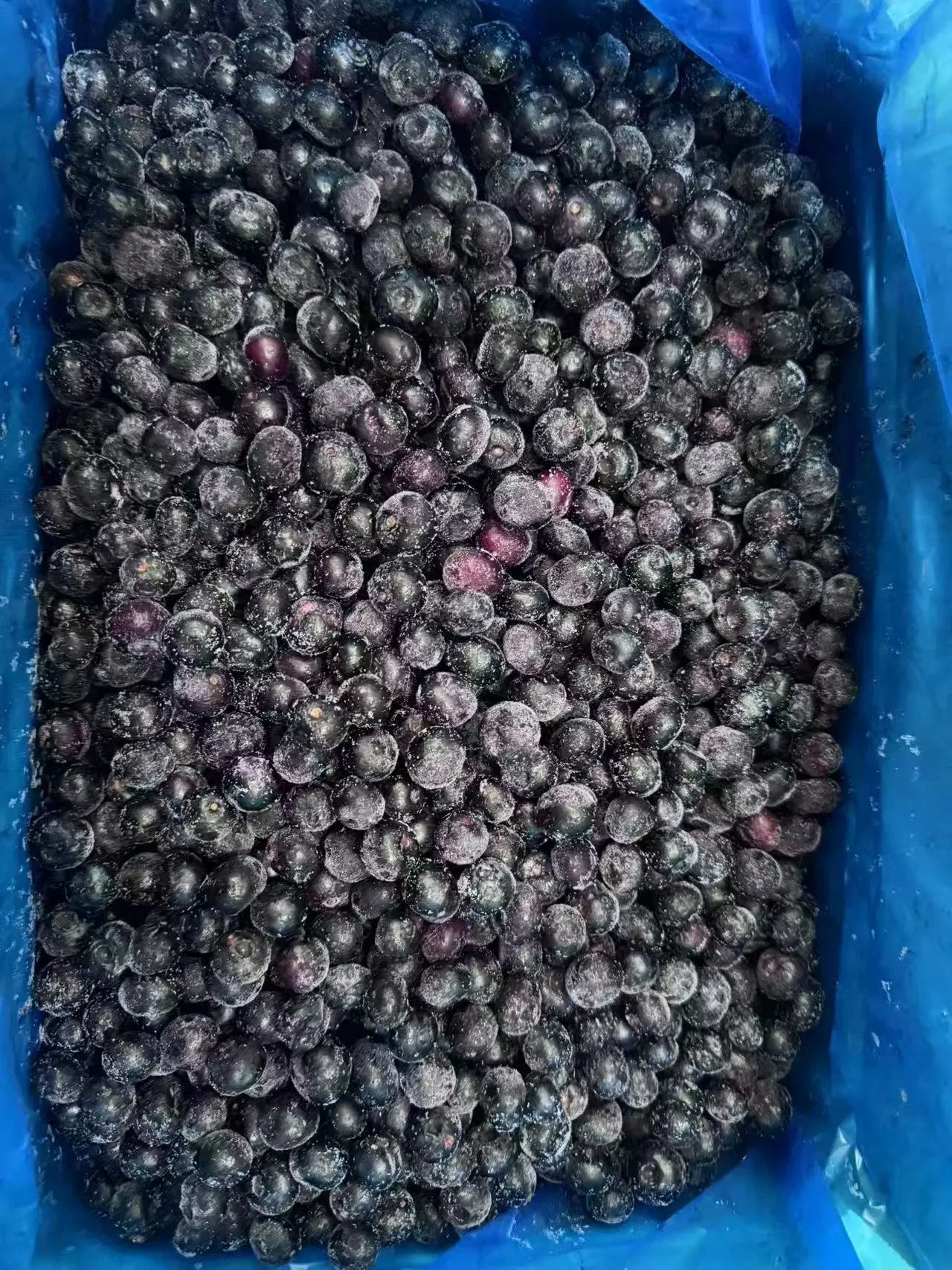 Wholesale Frozen Fruit IQF Fruit IQF Blueberry