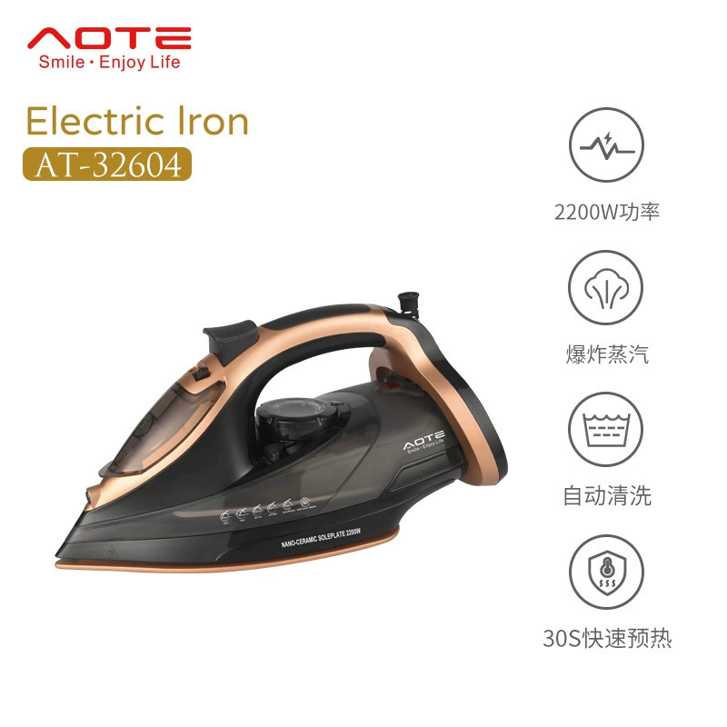 Popular Ceramic Soleplate Vertical Steaming Electric Press Ironing Steam Iron