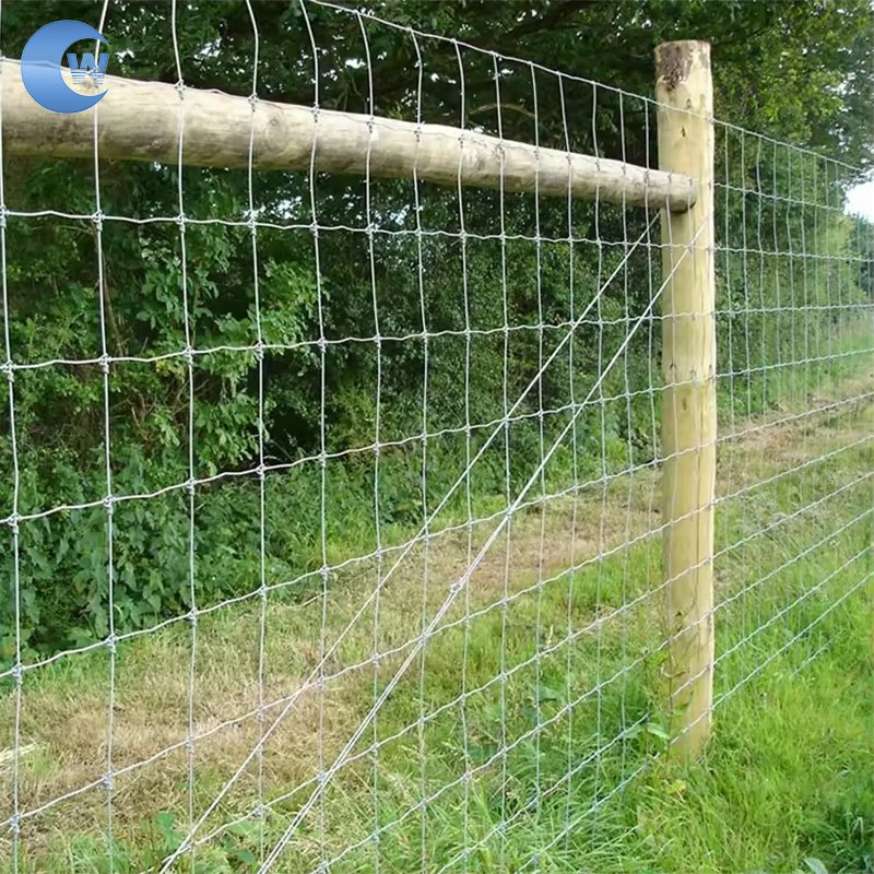 Low Price Chicken/Cattle /Livestock Fence Galvanized Field Fence