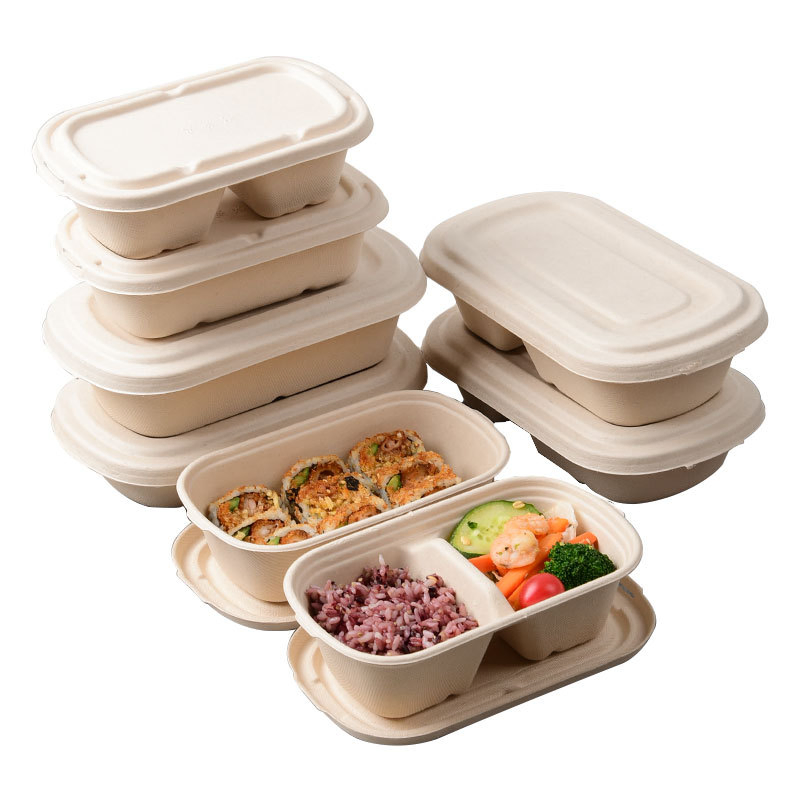 2 Comp. Sugarcane Bagasse Takeaway Lunch Box Disposable Biodegradable Food Container
