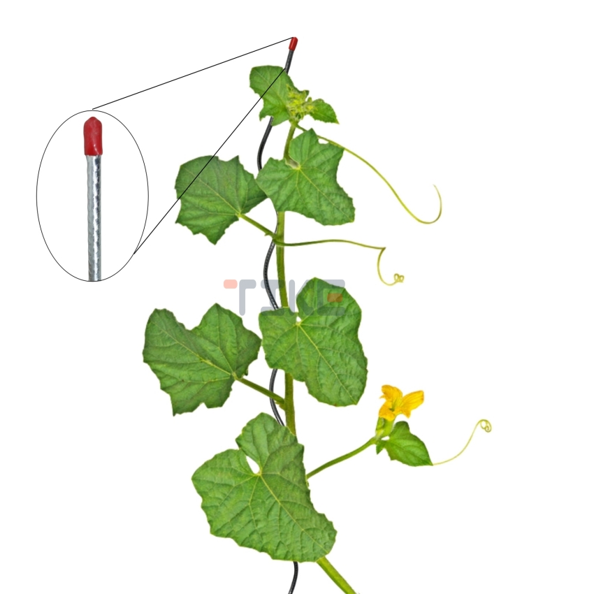 Ribbed Galvanised Steel Spiral Rod Plant Supports