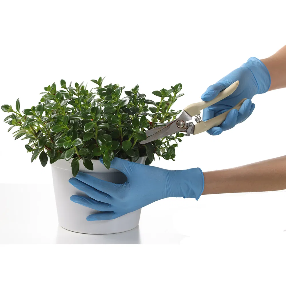 Multi-Size Selection Procure Nitrile Blue Waterproof Gloves Nitrile