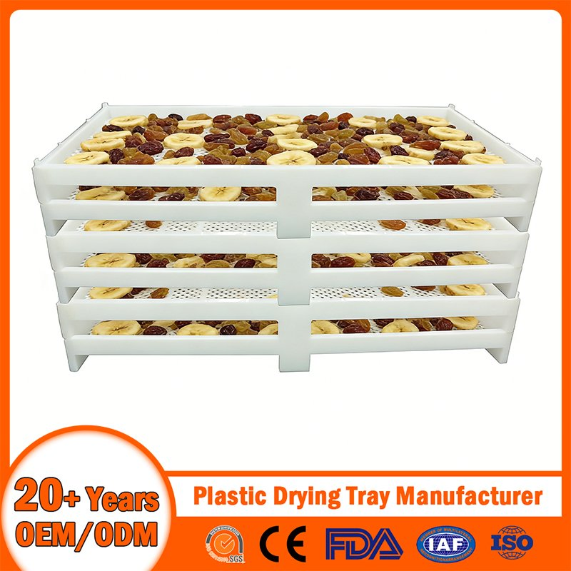 China Plastic Drying Tray Manufacturer Stackable/Nestable/Perforated/Mesh/Solid Bottom Plastic Cooling/Freezing/Dried Tray for Seafood/Fruit Aquaculture/Herbal