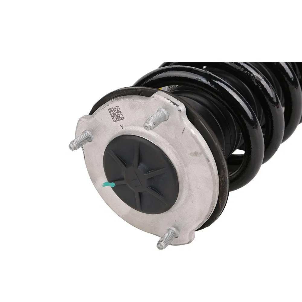 Tesla Model 3 2019-2023 Передний амортизатор