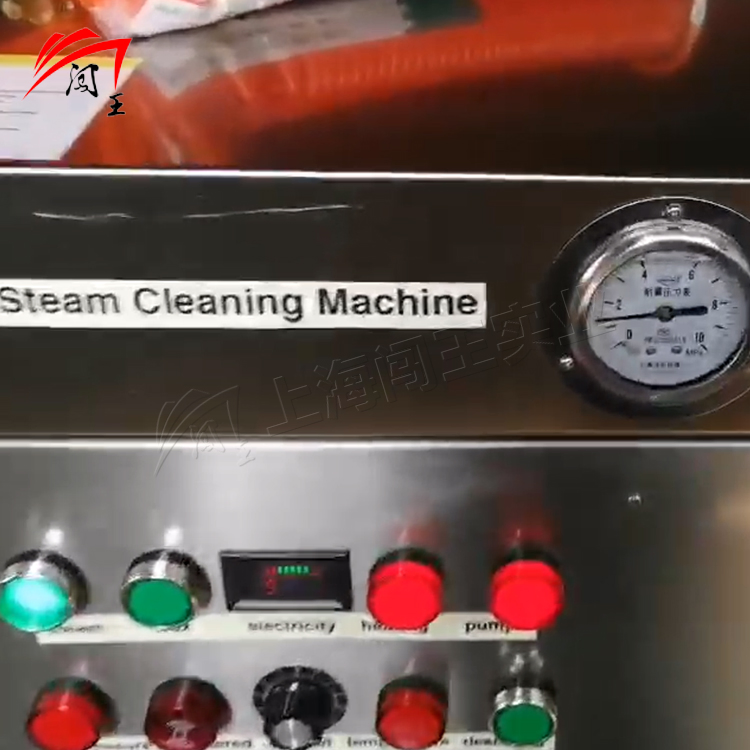 Powerful High Pressure Steam Cleaner for Vehicle Interiors