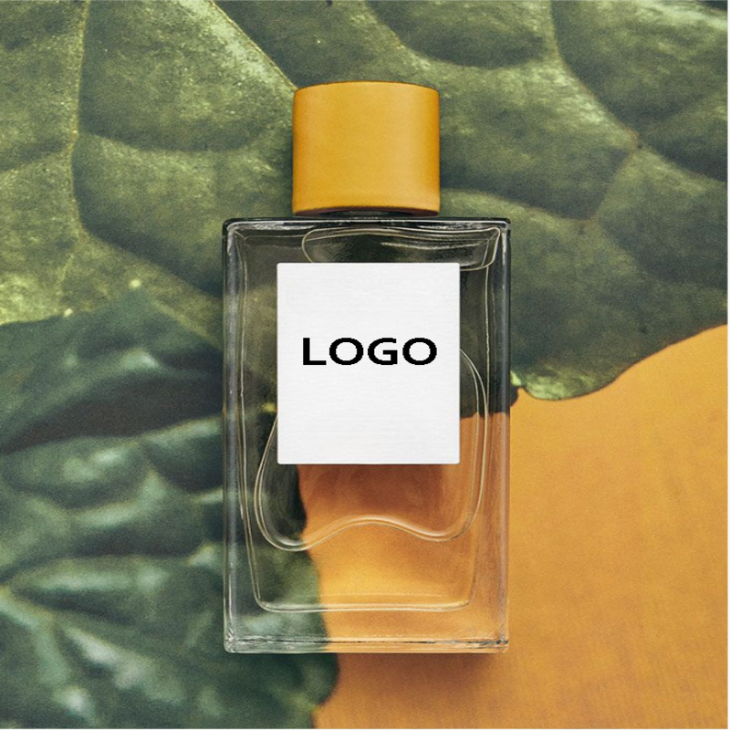 Conjuntos De Regalo De Perfumes Arabic Perfume for Women Natural Parfum Fragrance