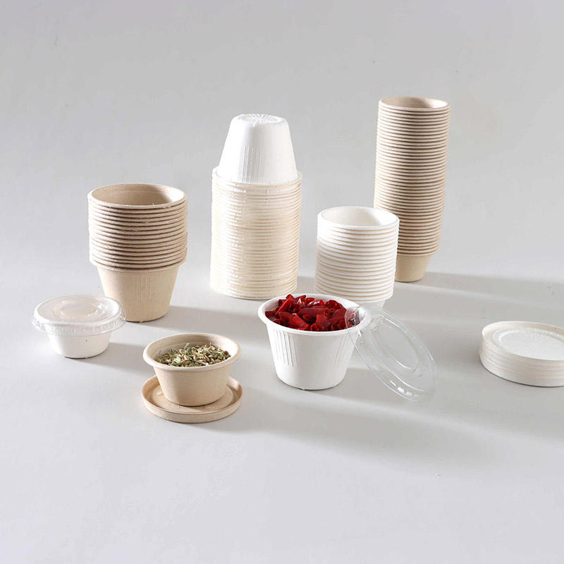 Biodegradable Takeaway Disposable Sauce Cup Food Container