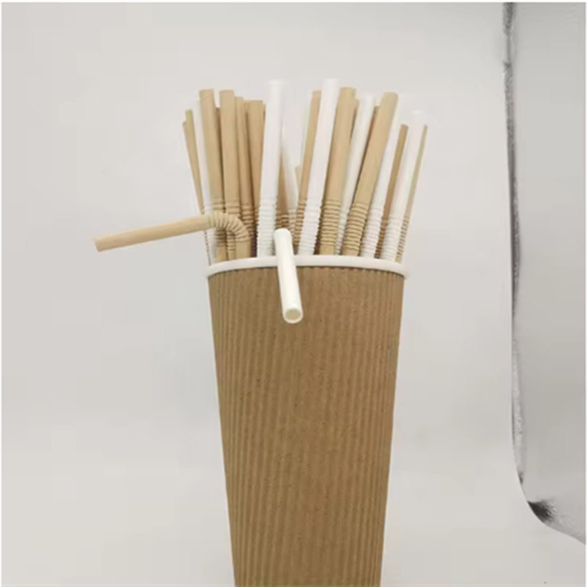Versatile Eco Disposable Paper Straws for Events and Gatherings