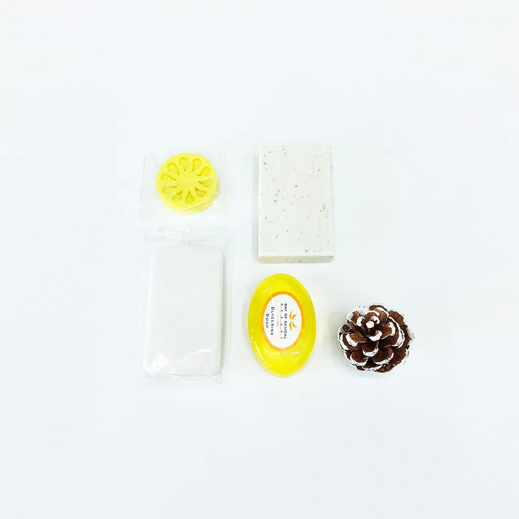 Hotel Amenity Kit Wholesale Biodegradable Package Hotel Soaps