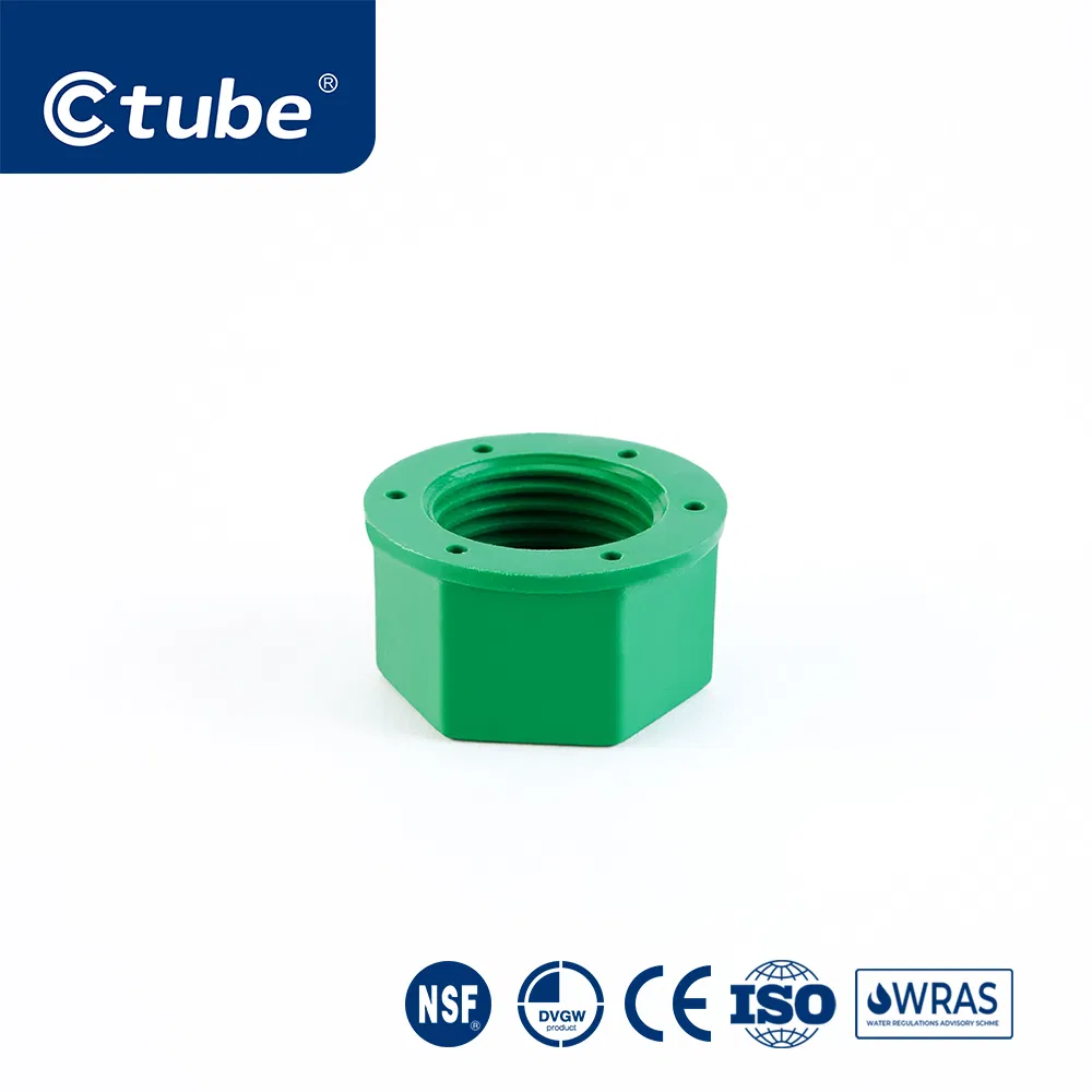 Ctube PPR Female Threaded Cap Chemical Resistant Pipe Fitting Solution