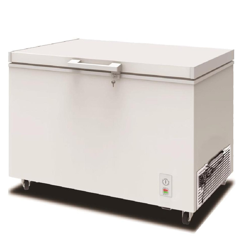 China Manufacturer Wholesale Price Mini Showcase Deep Freezer Foam Door Chest Freezer with Lock Fridge Refrigerator for Home Cooler Commercial Refrigerator